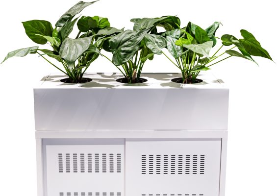 Plantenbak voor schuifdeurkast, kleur wit